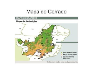 Mapa do Cerrado
 