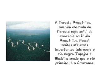 A floresta Amazônica,
   também chamada de
  floresta equatorial da
    amazônia ou Hiléia
    Amazônica. Possui
     muitos afluentes
importantes tais como o
   rio negro Tapajós e
Madeira sendo que o rio
 principal é o Amazonas.
 