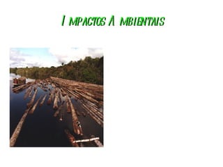 I mpactos A mbientais
 