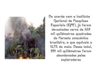 De acordo com o Instituto
    Nacional de Pesquisas
  Espaciais (INPE), já foram
  devastados cerca de 550
 mil quilômetros quadrados
    da floresta amazônica
 brasileira, o que equivale a
 13,7% da mata. Desse total,
 200 mil quilômetros foram
      abandonados pelos
         exploradores
 