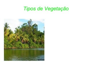 Tipos de Vegetação
 