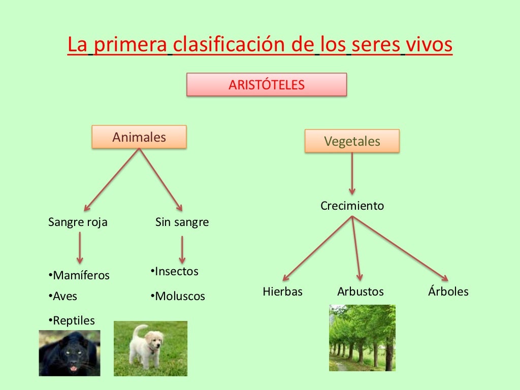 Seres vivos Juan Ignacio M.