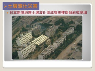  日本新瀉地震土壤液化造成整排樓房傾斜或倒塌
土壤液化災害
 