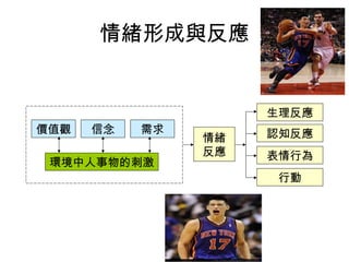 環境中人事物的刺激
價值觀 信念 需求
情緒
反應
生理反應
認知反應
表情行為
行動
情緒形成與反應
 