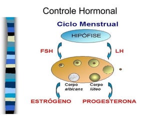 Controle Hormonal
 