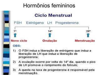 Hormônios femininos
 