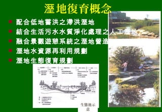 生態池示
意
地復育概念溼
 配合低地蓄洪之滯洪溼地
 結合生活污水水質淨化處理之人工溼地
 融合景觀遊憩系統之溼地營造
 溼地水資源再利用規劃
 溼地生態復育規劃
 