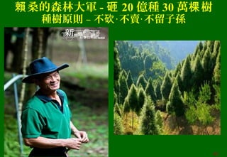 桑的森林大軍賴 - 砸 20 億種 30 萬 樹棵
種樹原則 – 不 不賣 不留子孫砍‧ ‧
43
 