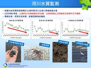 河川水質監測
• 桃園市政府環保局每周於11條列管河川出海口採樣檢測水質
• 105年第1季起，11條河川水質皆較往年改善，以前常發生之突發高污染事件已不復見
• 環境生態、民眾生活休憩，逐漸回歸海岸擁抱
 