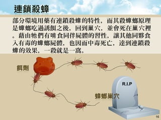 部分環境用藥有連鎖殺 的特性，而其殺 螂原理蟑 蟑
是 螂吃過誘餌之後，回到 穴，並會死在 穴裡蟑 巢 巢
。藉由 們有 食同伴屍體的習性，讓其他同夥食牠 啃
入有毒的 螂屍體，也因而中毒死亡，達到連鎖殺蟑
的效果，一殺就是一窩。蟑
16
R.I.P
 