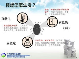 暖潮濕的地方溫 ，只要環境
度及濕 適宜，搭配適宜溫 度
水源及食物， 螂即可棲息蟑
。
牆壁、 櫃及抽 等家 隙櫥 屜 俱
縫內，常於住家廁所、排水
溝、 及廚餘貯存處。垃圾
喜歡吃
喜歡躲
( 藏 )
喜歡住
任何食物，屬於雜食性，如食物、
、死昆蟲及排泄物，故可能媒垃圾
介傳播病原體，危害人體健康。
6
 