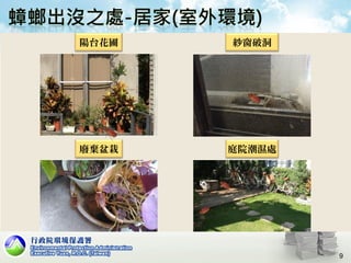 陽台花圃 紗窗破洞
9
廢棄盆栽 庭院潮濕處
 