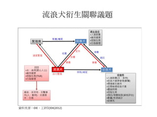流浪犬衍生關聯議題
 