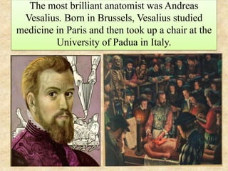 The most brilliant anatomist was Andreas
Vesalius. Born in Brussels, Vesalius studied
medicine in Paris and then took up a...