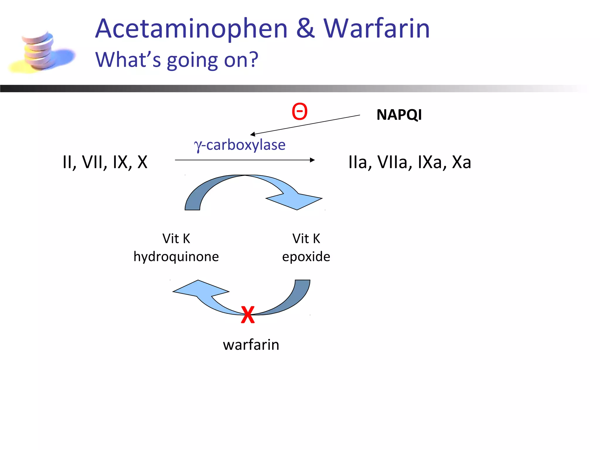 Acetaminophen & Warfarin
What’s going on?
II, VII, IX, X IIa, VIIa, IXa, Xa
γ-carboxylase
Vit K
hydroquinone
Vit K
epoxide
warfarin
X
NAPQIΘ
 
