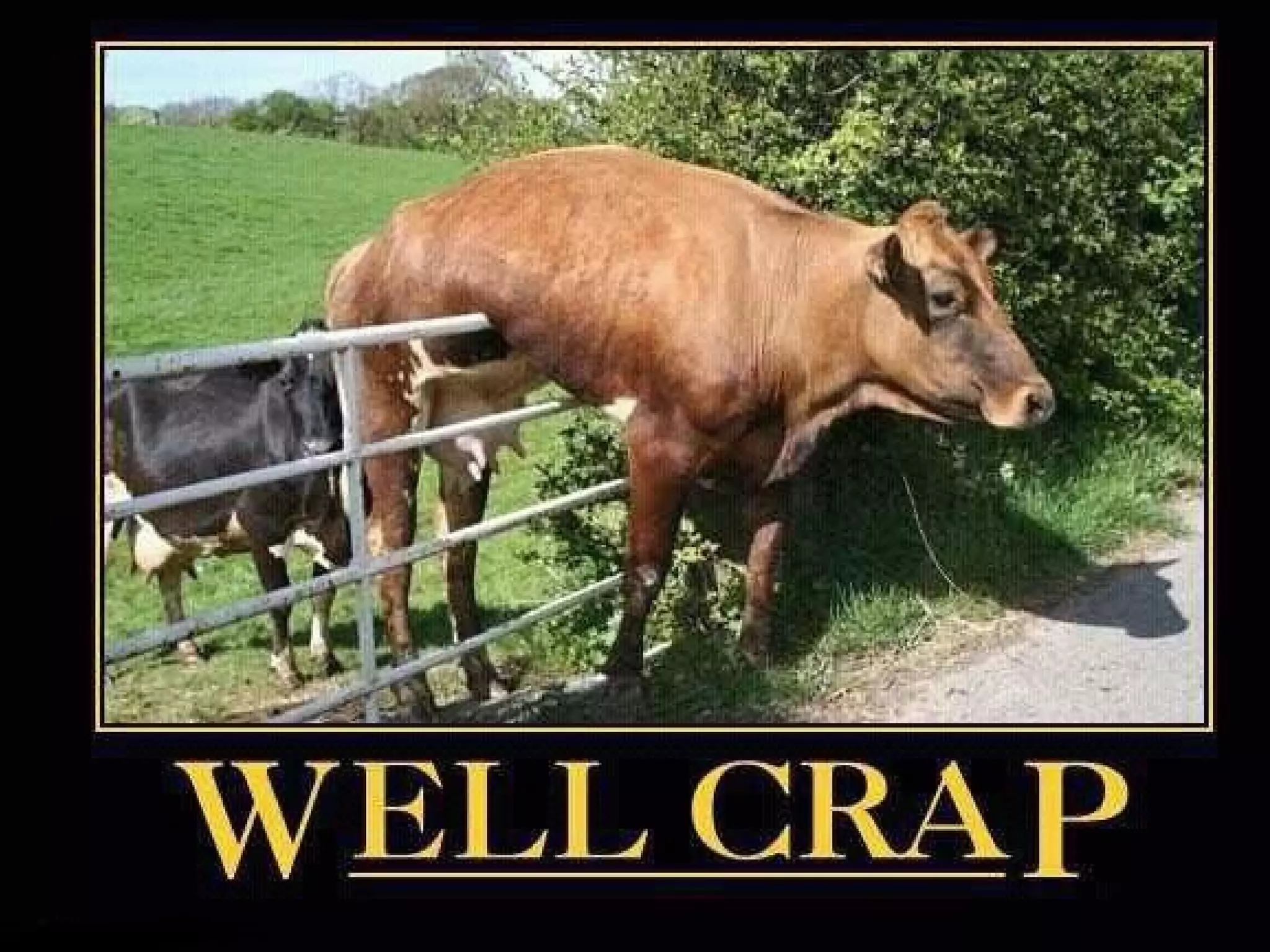 Avoiding DDIs
(a.k.a How to Not Kill People)
 