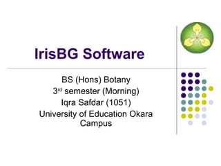 IrisBG Software 
BS (Hons) Botany 
3rd semester (Morning) 
Iqra Safdar (1051) 
University of Education Okara 
Campus 
 