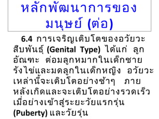 หลัก พัฒ นาการของ
มนุษ ย์ (ต่อ )
6.4 การเจริญ เติบ โตของอวัย วะ
สืบ พัน ธุ์ (Genital Type) ได้แ ก่ ลูก
อัณ ฑะ ต่อ มลูก หมากในเด็ก ชาย
รัง ไข่แ ละมดลูก ในเด็ก หญิง อวัย วะ
เหล่า นี้จ ะเติบ โตอย่า งช้า ๆ ภาย
หลัง เกิด และจะเติบ โตอย่า งรวดเร็ว
เมื่อ ย่า งเข้า สู่ร ะยะวัย แรกรุ่น
(Puberty) และวัย รุ่น

 