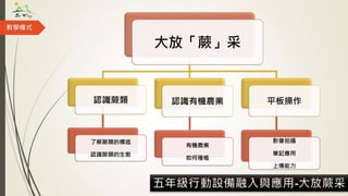 大放「蕨」采
認識蕨類
了解蕨類的構造
認識蕨類的生態
認識有機農業
有機農業
如何種植
平板操作
影像拍攝
筆記應用
上傳能力
五年級行動設備融入與應用-大放蕨采
教學模式
 