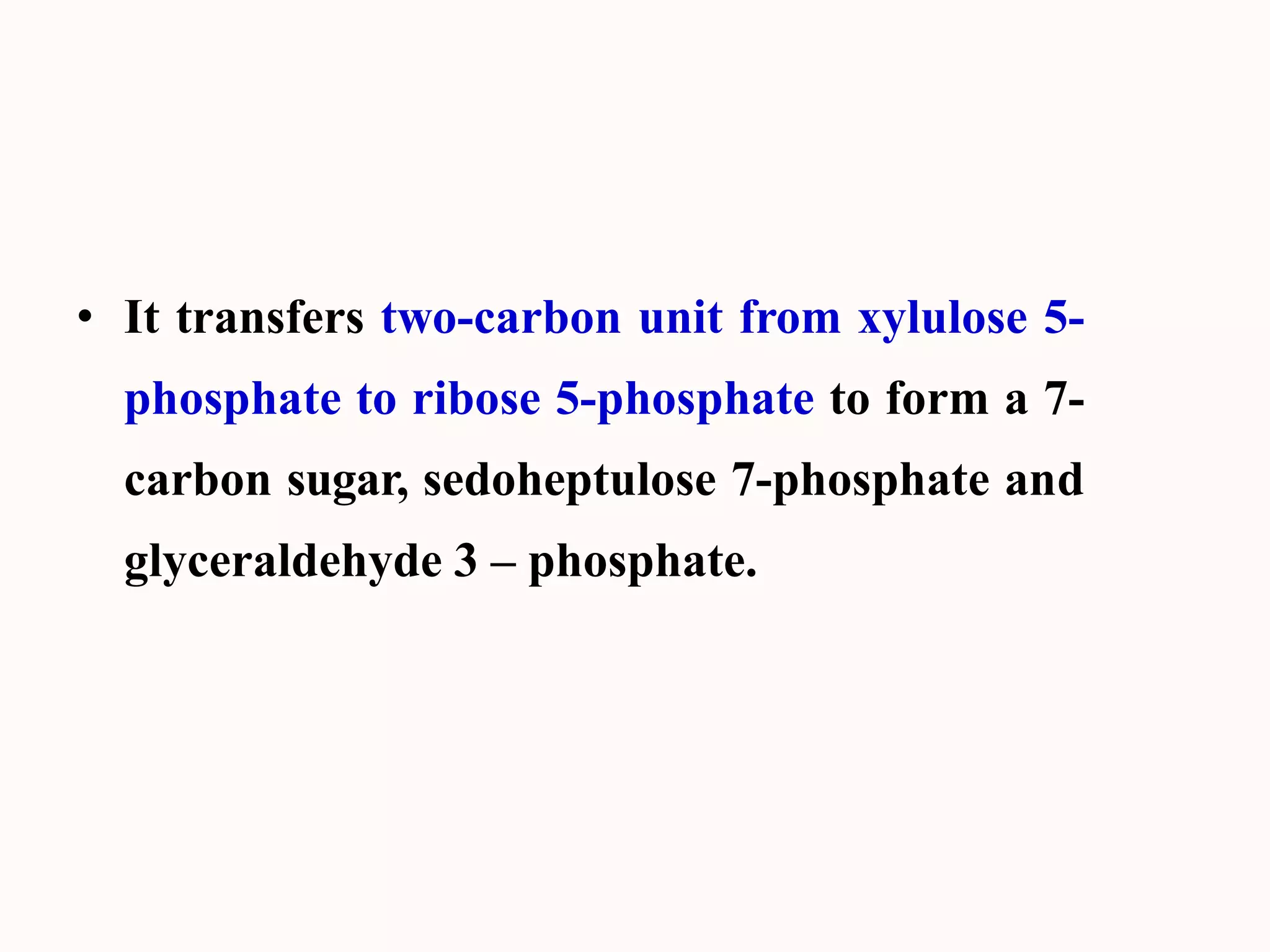 • It transfers two-carbon unit from xylulose 5-
phosphate to ribose 5-phosphate to form a 7-
carbon sugar, sedoheptulose 7-phosphate and
glyceraldehyde 3 – phosphate.
 