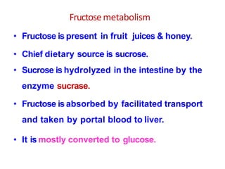 1051 carbohydrate metabolism lecture 8 | PPTX