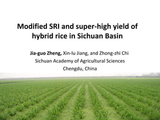 Modified SRI and super-high yield of
hybrid rice in Sichuan Basin
Jia-guo Zheng, Xin-lu Jiang, and Zhong-zhi Chi
Sichuan Academy of Agricultural Sciences
Chengdu, China
 