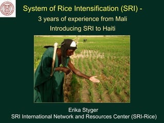 System of Rice Intensification (SRI) -
3 years of experience from Mali
Introducing SRI to Haiti
Erika Styger
SRI International Network and Resources Center (SRI-Rice)
 
