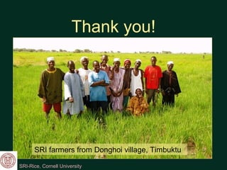 1053 SRI 3 Years of Experience from Mali. Introducing SRI to Haiti