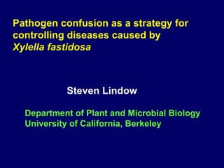 Pathogen confusion as a strategy for controlling diseases caused by  Xylella fastidosa Steven Lindow Department of Plant and Microbial Biology University of California, Berkeley 