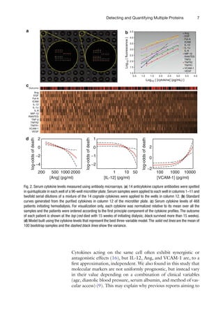 7
Detecting and Quantifying Multiple Proteins
Cytokines acting on the same cell often exhibit ­
synergistic or
antagonistic effects (16), but IL-12, Ang, and VCAM-1 are, to a
first approximation, independent. We also found in this study that
molecular markers are not uniformly prognostic, but instead vary
in their value depending on a combination of clinical variables
(age, diastolic blood pressure, serum albumin, and method of vas-
cular access) (9). This may explain why previous reports aiming to
Outcome
Ang
EGF
Fet-A
ICAM
IL-12
IL-1α
IL-8
MIP-1β
RANTES
TNF-β
TNFR2
TNFR1
VCAM-1
VEGF
d
a
c
b
1.0
1.5
2.0
2.5
3.0
3.5
4.0
4.5
0.5 1.0 1.5 2.0 2.5 3.0 3.5 4.0
Ang
EGF
Fet-A
ICAM
IL-12
IL-1α
IL-8
MIP-1β
RANTES
TNFβ
TNFR2
TNFR1
VCAM-1
VEGF
Log
10
{
fluorescence
}
Log10 { [cytokine] (pg/mL) }
200 500 1000 2000
−4
−2
0
2
[Ang] (pg/ml)
log-odds
of
death
100 1000 10000
−2
0
2
[VCAM-1] (pg/ml)
log-odds
of
death
1 10 50
−2
−1
0
1
[IL-12] (pg/ml)
log-odds
of
death
Fig. 2. Serum cytokine levels measured using antibody microarrays. (a) 14 anticytokine capture antibodies were spotted
in quintuplicate in each well of a 96-well microtiter plate. Serum samples were applied to each well in columns 1–11 and
twofold serial dilutions of a mixture of the 14 cognate cytokines were applied to the wells in column 12. (b) Standard
curves generated from the purified cytokines in column 12 of the microtiter plate. (c) Serum cytokine levels of 468
patients initiating hemodialysis. For visualization only, each cytokine was normalized relative to its mean over all the
samples and the patients were ordered according to the first principle component of the cytokine profiles. The outcome
of each patient is shown at the top (red died with 15 weeks of initiating dialysis; black survived more than 15 weeks).
(d) Model built using the cytokine levels that represent the best three-variable model.The solid red lines are the mean of
100 bootstrap samples and the dashed black lines show the variance.
 