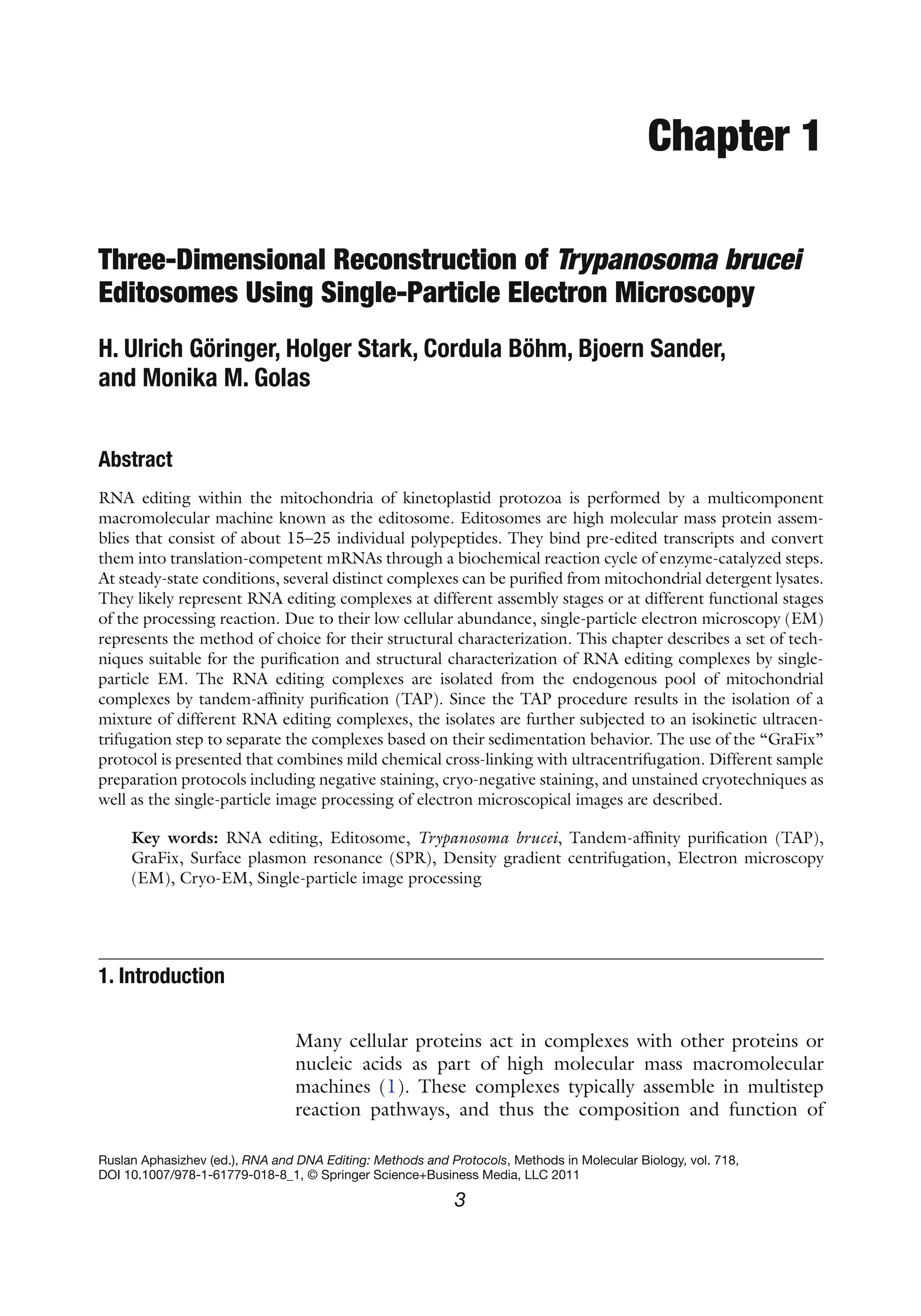 3
Ruslan Aphasizhev (ed.), RNA and DNA Editing: Methods and Protocols, Methods in Molecular Biology, vol. 718,
DOI 10.1007/978-1-61779-018-8_1, © Springer Science+Business Media, LLC 2011
Chapter 1
Three-Dimensional Reconstruction of Trypanosoma brucei
Editosomes Using Single-Particle Electron Microscopy
H. Ulrich Göringer, Holger Stark, Cordula Böhm, Bjoern Sander,
and Monika M. Golas
Abstract
RNA editing within the mitochondria of kinetoplastid protozoa is performed by a multicomponent
­
macromolecular machine known as the editosome. Editosomes are high molecular mass protein assem-
blies that consist of about 15–25 individual polypeptides. They bind pre-edited transcripts and convert
them into translation-competent mRNAs through a biochemical reaction cycle of enzyme-catalyzed steps.
At steady-state conditions, several distinct complexes can be purified from mitochondrial detergent lysates.
They likely represent RNA editing complexes at different assembly stages or at different functional stages
of the processing reaction. Due to their low cellular abundance, single-particle electron microscopy (EM)
represents the method of choice for their structural characterization. This chapter describes a set of tech-
niques suitable for the purification and structural characterization of RNA editing complexes by single-
particle EM. The RNA editing complexes are isolated from the endogenous pool of mitochondrial
complexes by tandem-affinity purification (TAP). Since the TAP procedure results in the isolation of a
mixture of different RNA editing complexes, the isolates are further subjected to an isokinetic ultracen-
trifugation step to separate the complexes based on their sedimentation behavior. The use of the “GraFix”
protocol is presented that combines mild chemical cross-linking with ultracentrifugation. Different sample
preparation protocols including negative staining, cryo-negative staining, and unstained cryotechniques as
well as the single-particle image processing of electron microscopical images are described.
Key words: RNA editing, Editosome, Trypanosoma brucei, Tandem-affinity purification (TAP),
GraFix, Surface plasmon resonance (SPR), Density gradient centrifugation, Electron microscopy
(EM), Cryo-EM, Single-particle image processing
Many cellular proteins act in complexes with other proteins or
nucleic acids as part of high molecular mass macromolecular
machines (1). These complexes typically assemble in multistep
reaction pathways, and thus the composition and function of
1. Introduction
 