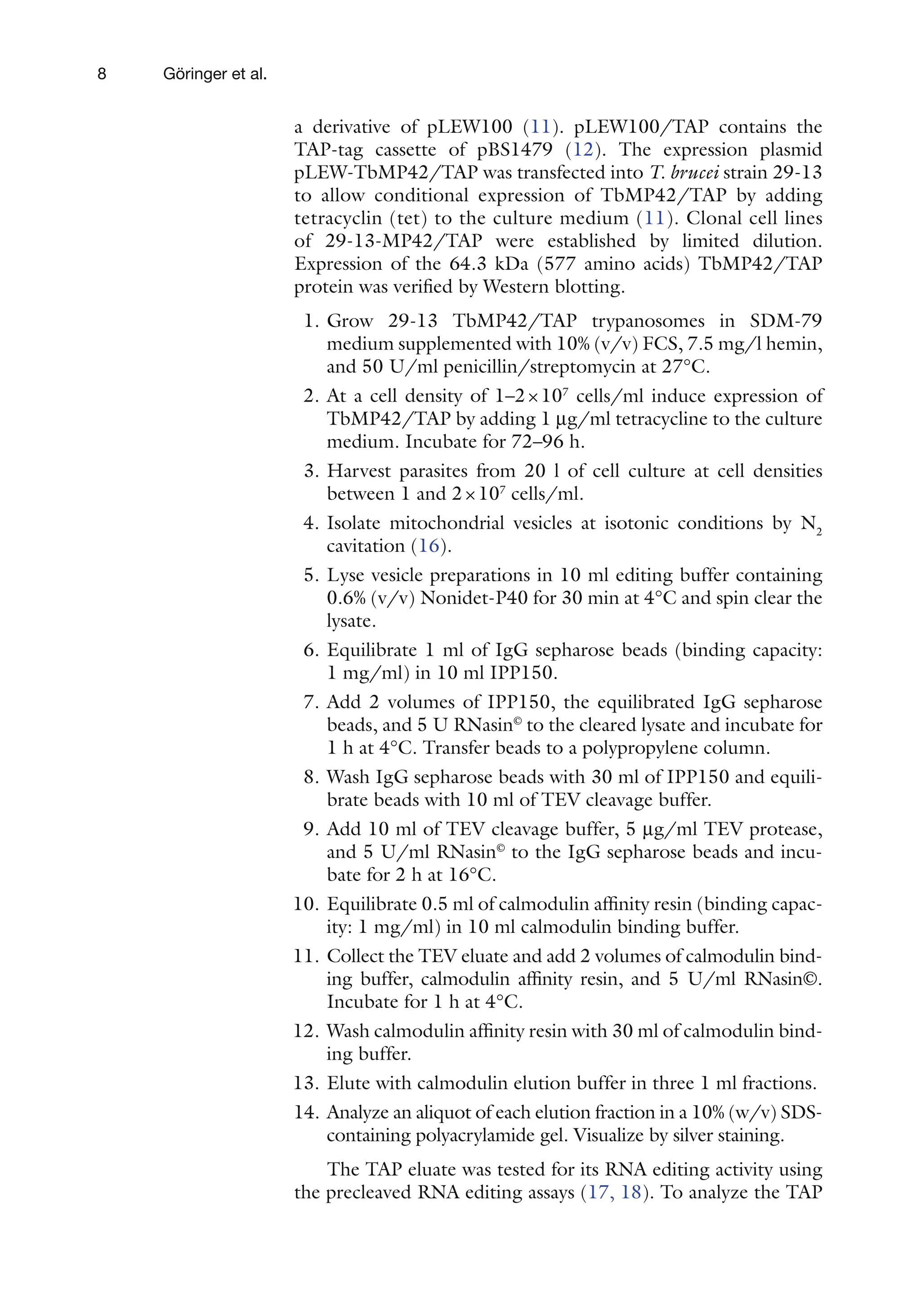 8 Göringer et al.
a derivative of pLEW100 (11). pLEW100/TAP contains the
TAP-tag cassette of pBS1479 (12). The expression plasmid
pLEW-TbMP42/TAP was transfected into T. brucei strain 29-13
to allow conditional expression of TbMP42/TAP by adding
tetracyclin (tet) to the culture medium (11). Clonal cell lines
of 29-13-MP42/TAP were established by limited dilution.
Expression of the 64.3 kDa (577 amino acids) TbMP42/TAP
protein was verified by Western blotting.
1. Grow 29-13 TbMP42/TAP trypanosomes in SDM-79
medium supplemented with 10% (v/v) FCS, 7.5 mg/l hemin,
and 50 U/ml penicillin/streptomycin at 27°C.
2. At a cell density of 1–2×107
cells/ml induce expression of
TbMP42/TAP by adding 1 mg/ml tetracycline to the culture
medium. Incubate for 72–96 h.
3. Harvest parasites from 20 l of cell culture at cell densities
between 1 and 2×107
cells/ml.
4. Isolate mitochondrial vesicles at isotonic conditions by N2
cavitation (16).
5. Lyse vesicle preparations in 10 ml editing buffer containing
0.6% (v/v) Nonidet-P40 for 30 min at 4°C and spin clear the
lysate.
6. Equilibrate 1 ml of IgG sepharose beads (binding capacity:
1 mg/ml) in 10 ml IPP150.
7. Add 2 volumes of IPP150, the equilibrated IgG sepharose
beads, and 5 U RNasin©
to the cleared lysate and incubate for
1 h at 4°C. Transfer beads to a polypropylene column.
8. Wash IgG sepharose beads with 30 ml of IPP150 and equili-
brate beads with 10 ml of TEV cleavage buffer.
9. Add 10 ml of TEV cleavage buffer, 5 mg/ml TEV protease,
and 5 U/ml RNasin©
to the IgG sepharose beads and incu-
bate for 2 h at 16°C.
10. Equilibrate 0.5 ml of calmodulin affinity resin (binding capac-
ity: 1 mg/ml) in 10 ml calmodulin binding buffer.
11. Collect the TEV eluate and add 2 volumes of calmodulin bind-
ing buffer, calmodulin affinity resin, and 5 U/ml RNasin©.
Incubate for 1 h at 4°C.
12. Wash calmodulin affinity resin with 30 ml of calmodulin bind-
ing buffer.
13. Elute with calmodulin elution buffer in three 1 ml fractions.
14. Analyze an aliquot of each elution fraction in a 10% (w/v) SDS-
containing polyacrylamide gel. Visualize by silver staining.
The TAP eluate was tested for its RNA editing activity using
the precleaved RNA editing assays (17, 18). To analyze the TAP
 