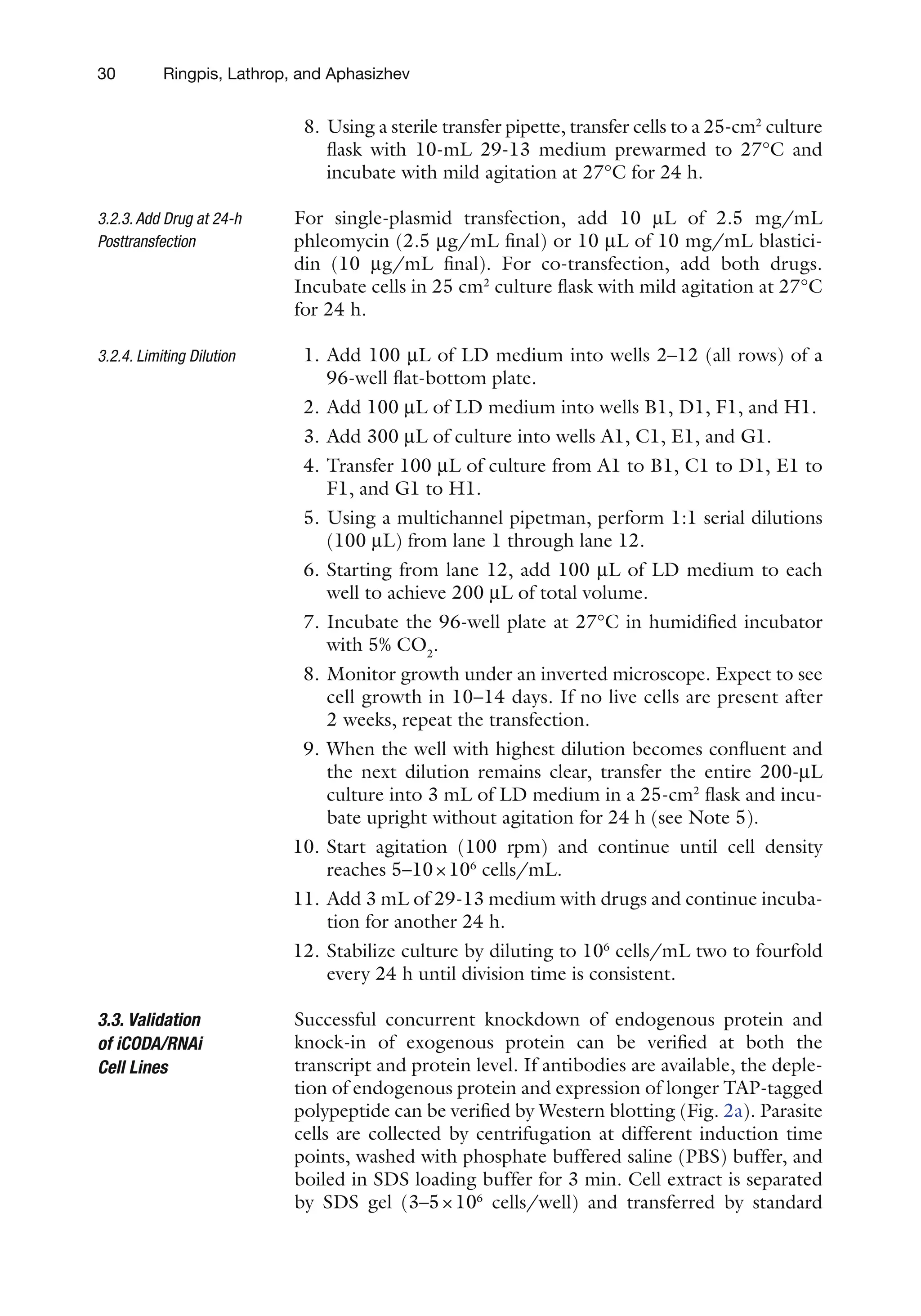 30 Ringpis, Lathrop, and Aphasizhev
8. Using a sterile transfer pipette, transfer cells to a 25-cm2
culture
flask with 10-mL 29-13 medium prewarmed to 27°C and
incubate with mild agitation at 27°C for 24 h.
For single-plasmid transfection, add 10 mL of 2.5 mg/mL
­
phleomycin (2.5 mg/mL final) or 10 mL of 10 mg/mL blastici-
din (10 mg/mL final). For co-transfection, add both drugs.
Incubate cells in 25 cm2
culture flask with mild agitation at 27°C
for 24 h.
1. Add 100 mL of LD medium into wells 2–12 (all rows) of a
96-well flat-bottom plate.
2. Add 100 mL of LD medium into wells B1, D1, F1, and H1.
3. Add 300 mL of culture into wells A1, C1, E1, and G1.
4. Transfer 100 mL of culture from A1 to B1, C1 to D1, E1 to
F1, and G1 to H1.
5. Using a multichannel pipetman, perform 1:1 serial dilutions
(100 mL) from lane 1 through lane 12.
6. Starting from lane 12, add 100 mL of LD medium to each
well to achieve 200 mL of total volume.
7. Incubate the 96-well plate at 27°C in humidified incubator
with 5% CO2
.
8. Monitor growth under an inverted microscope. Expect to see
cell growth in 10–14 days. If no live cells are present after
2 weeks, repeat the transfection.
9. When the well with highest dilution becomes confluent and
the next dilution remains clear, transfer the entire 200-mL
culture into 3 mL of LD medium in a 25-cm2
flask and incu-
bate upright without agitation for 24 h (see Note 5).
10. Start agitation (100 rpm) and continue until cell density
reaches 5–10×106
cells/mL.
11. Add 3 mL of 29-13 medium with drugs and continue incuba-
tion for another 24 h.
12. Stabilize culture by diluting to 106
cells/mL two to fourfold
every 24 h until division time is consistent.
Successful concurrent knockdown of endogenous protein and
knock-in of exogenous protein can be verified at both the
­
transcript and protein level. If antibodies are available, the deple-
tion of endogenous protein and expression of longer TAP-tagged
polypeptide can be verified by Western blotting (Fig. 2a). Parasite
cells are collected by centrifugation at different induction time
points, washed with phosphate buffered saline (PBS) buffer, and
boiled in SDS loading buffer for 3 min. Cell extract is separated
by SDS gel (3–5×106
cells/well) and transferred by standard
3.2.3. Add Drug at 24-h
Posttransfection
3.2.4. 
Limiting Dilution
3.3. Validation
of iCODA/RNAi
Cell Lines
 