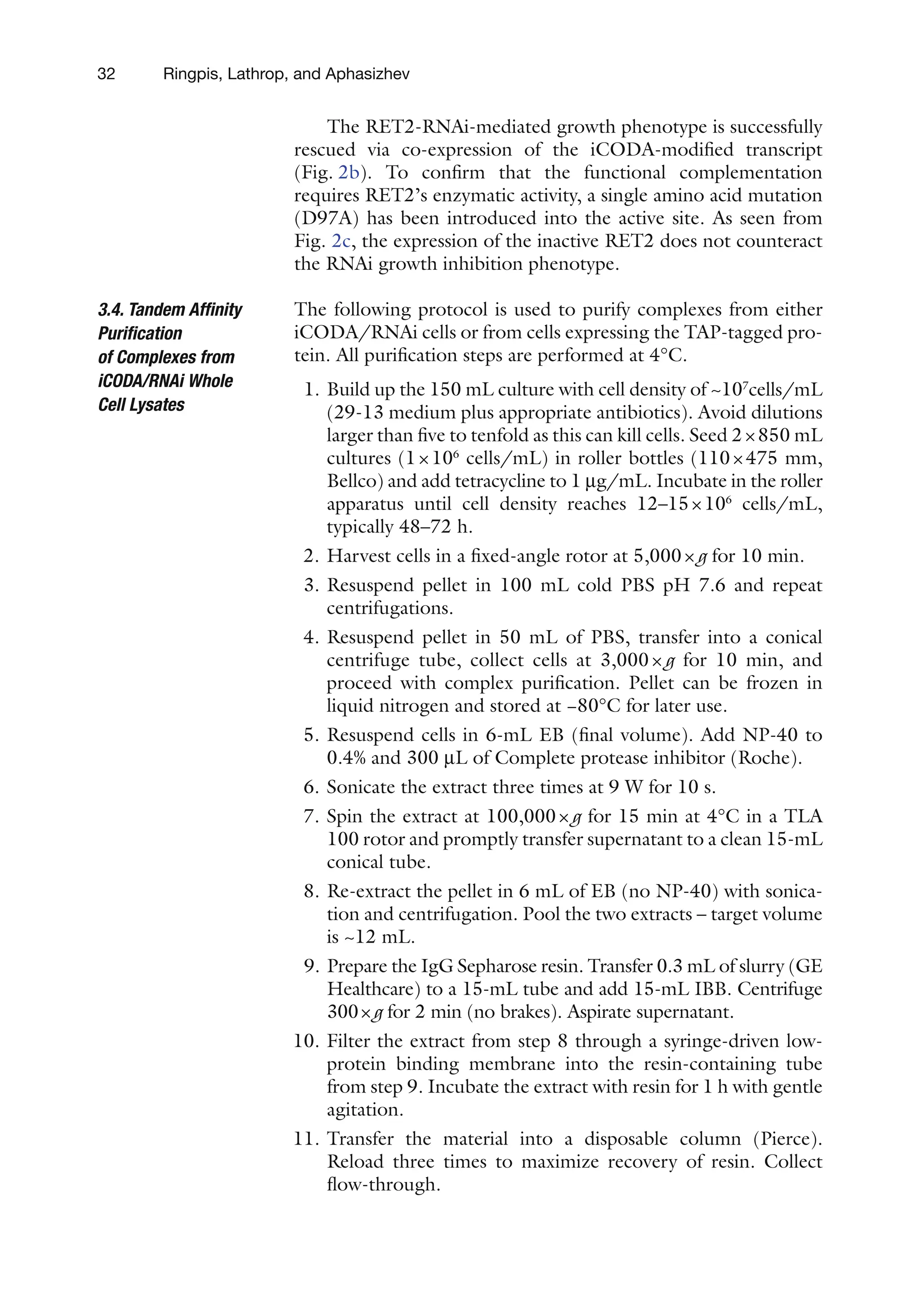 32 Ringpis, Lathrop, and Aphasizhev
The RET2-RNAi-mediated growth phenotype is successfully
rescued via co-expression of the iCODA-modified transcript
(Fig.  2b). To confirm that the functional complementation
requires RET2’s enzymatic activity, a single amino acid mutation
(D97A) has been introduced into the active site. As seen from
Fig. 2c, the expression of the inactive RET2 does not counteract
the RNAi growth inhibition phenotype.
The following protocol is used to purify complexes from either
iCODA/RNAi cells or from cells expressing the TAP-tagged pro-
tein. All purification steps are performed at 4°C.
1. Build up the 150 mL culture with cell density of ~107
cells/mL
(29-13 medium plus appropriate antibiotics). Avoid dilutions
larger than five to tenfold as this can kill cells. Seed 2×850 mL
cultures (1×106
cells/mL) in roller bottles (110×475 mm,
Bellco) and add tetracycline to 1 mg/mL. Incubate in the roller
apparatus until cell density reaches 12–15×106
cells/mL,
typically 48–72 h.
2. Harvest cells in a fixed-angle rotor at 5,000×g for 10 min.
3. Resuspend pellet in 100 mL cold PBS pH 7.6 and repeat
centrifugations.
4. Resuspend pellet in 50 mL of PBS, transfer into a conical
centrifuge tube, collect cells at 3,000×g for 10 min, and
proceed with complex purification. Pellet can be frozen in
liquid nitrogen and stored at −80°C for later use.
5. Resuspend cells in 6-mL EB (final volume). Add NP-40 to
0.4% and 300 mL of Complete protease inhibitor (Roche).
6. Sonicate the extract three times at 9 W for 10 s.
7. Spin the extract at 100,000×g for 15 min at 4°C in a TLA
100 rotor and promptly transfer supernatant to a clean 15-mL
conical tube.
8. Re-extract the pellet in 6 mL of EB (no NP-40) with sonica-
tion and centrifugation. Pool the two extracts – target volume
is ~12 mL.
9. Prepare the IgG Sepharose resin. Transfer 0.3 mL of slurry (GE
Healthcare) to a 15-mL tube and add 15-mL IBB. Centrifuge
300×g for 2 min (no brakes). Aspirate supernatant.
10. Filter the extract from step 8 through a syringe-driven low-
protein binding membrane into the resin-containing tube
from step 9. Incubate the extract with resin for 1 h with gentle
agitation.
11. Transfer the material into a disposable column (Pierce).
Reload three times to maximize recovery of resin. Collect
flow-through.
3.4. Tandem Affinity
Purification
of Complexes from
iCODA/RNAi Whole
Cell Lysates
 