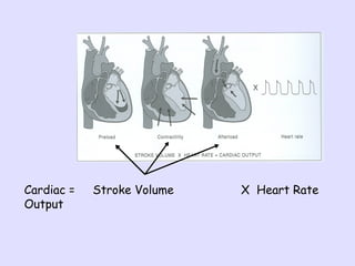 cardiac output learning cardiac cylic events.ppt