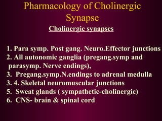 Pharmacology of Cholinergic Synapse Cholinergic synapses 1. Para symp. Post gang. Neuro.Effector junctions 2. All autonomic ganglia (pregang.symp and parasymp. Nerve endings), 3.  Pregang.symp.N.endings to adrenal medulla 3. 4. Skeletal neuromuscular junctions 5.  Sweat glands ( sympathetic-cholinergic) 6.  CNS- brain & spinal cord 