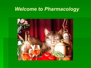Welcome to Pharmacology     张岫美 山东大学医学院 药理学研究所 Welcome to Pharmacology 