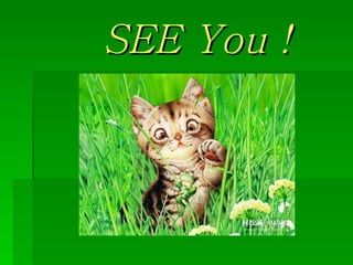 SEE You ! 