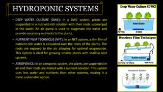 HYDROPONIC SYSTEMS
• DEEP WATER CULTURE (DWC): In a DWC system, plants are
suspended in a nutrient-rich solution with their roots submerged
in the water. An air pump is used to oxygenate the water and
provide necessary nutrients to the plants.
• NUTRIENT FILM TECHNIQUE (NFT): In an NFT system, a thin film of
nutrient-rich water is circulated over the roots of the plants. The
roots are exposed to the air, allowing for optimal oxygenation.
This system is ideal for growing smaller plants with shallow root
systems.
• AEROPONICS: In an aeroponic system, the plants are suspended in
air and their roots are misted with a nutrient solution. This system
uses less water and nutrients than other systems, making it a
more sustainable option.
 