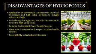 DISADVANTAGES OF HYDROPONICS
• Application on commercial scale requires technical
knowledge and high initial investment, though
returns are high.
• Considering the high cost, the soil- less culture is
limited to high value crops.
• Reliance On Constant Power Supply/System
• Great care is required with respect to plant health
control.
• Susceptibility to Waterborne Diseases
 