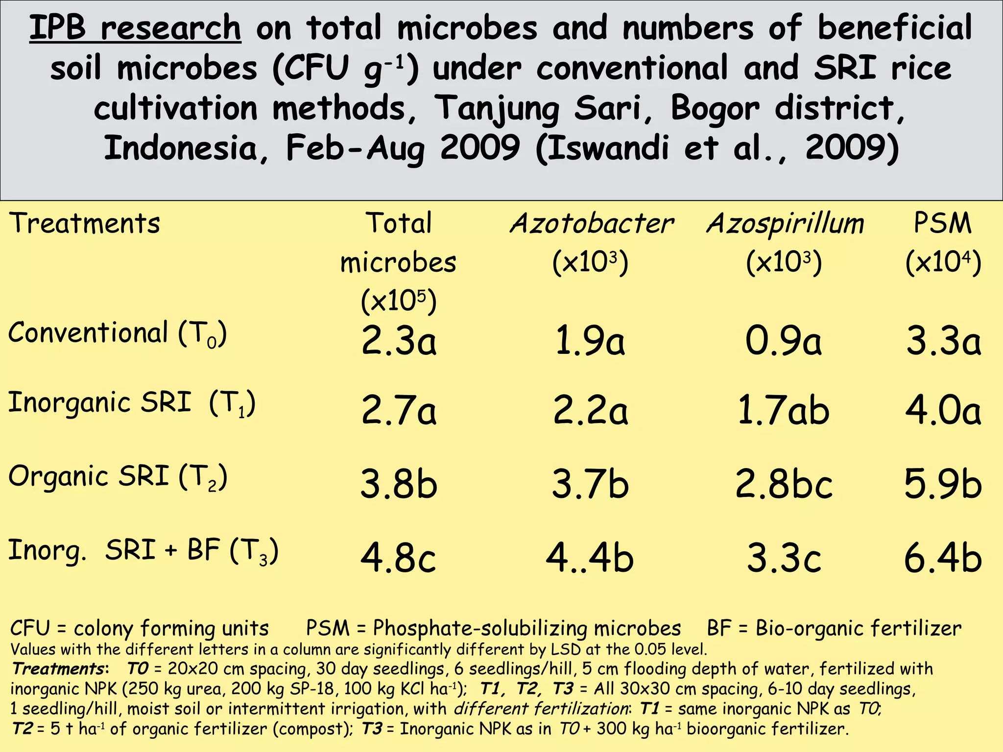 Treatments Total
microbes
(x105
)
Azotobacter
(x103
)
Azospirillum
(x103
)
PSM
(x104
)
Conventional (T0) 2.3a 1.9a 0.9a 3.3a
Inorganic SRI (T1) 2.7a 2.2a 1.7ab 4.0a
Organic SRI (T2) 3.8b 3.7b 2.8bc 5.9b
Inorg. SRI + BF (T3) 4.8c 4..4b 3.3c 6.4b
CFU = colony forming units PSM = Phosphate-solubilizing microbes BF = Bio-organic fertilizer
Values with the different letters in a column are significantly different by LSD at the 0.05 level.
Treatments: T0 = 20x20 cm spacing, 30 day seedlings, 6 seedlings/hill, 5 cm flooding depth of water, fertilized with
inorganic NPK (250 kg urea, 200 kg SP-18, 100 kg KCl ha-1
); T1, T2, T3 = All 30x30 cm spacing, 6-10 day seedlings,
1 seedling/hill, moist soil or intermittent irrigation, with different fertilization: T1 = same inorganic NPK as T0;
T2 = 5 t ha-1
of organic fertilizer (compost); T3 = Inorganic NPK as in T0 + 300 kg ha-1
bioorganic fertilizer.
IPB research on total microbes and numbers of beneficial
soil microbes (CFU g-1
) under conventional and SRI rice
cultivation methods, Tanjung Sari, Bogor district,
Indonesia, Feb-Aug 2009 (Iswandi et al., 2009)
 