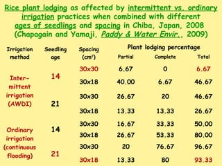 Irrigation
method
Seedling
age
Spacing
(cm2
)
Plant lodging percentage
Partial Complete Total
Inter-
mittent
irrigation
(A...