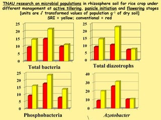 Total bacteria Total diazotrophs
TNAU research on microbial populations in rhizosphere soil for rice crop under
different ...