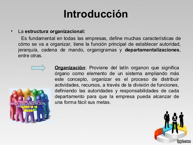 Estructura organizacional