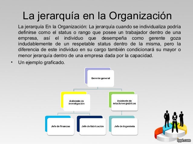 Estructura organizacional