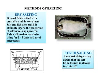 METHODS OF SALTING
DRY SALTING
Dressed fish is mixed with
crystalline salt in containers.
Salt and fish are spread in
alternate layers, the proportion
of salt increasing upwards.
Fish is allowed to remain in
brine for 2 – 3 days and dried
afterwards
KENCH SALTING
A method of dry salting
except that the self –
brine formed is allowed
to drain off.
KENCH SALTING
 