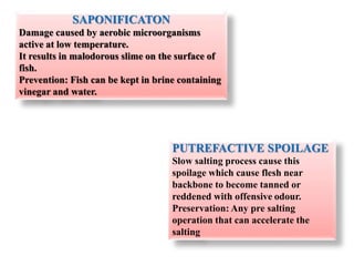SAPONIFICATON
Damage caused by aerobic microorganisms
active at low temperature.
It results in malodorous slime on the surface of
fish.
Prevention: Fish can be kept in brine containing
vinegar and water.
PUTREFACTIVE SPOILAGE
Slow salting process cause this
spoilage which cause flesh near
backbone to become tanned or
reddened with offensive odour.
Preservation: Any pre salting
operation that can accelerate the
salting
 