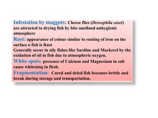 Infestation by maggots: Cheese flies (Drosophila casei)
are attracted to drying fish by bits smelland unhygienic
atmosphere
Rust: appearance of colour similar to rusting of iron on the
surface o fish is Rust
Generally occur in oily fishes like Sardine and Mackerel by the
oxidation of oil in fish due to atmospheric oxygen.
White spots: presence of Calcium and Magnesium in salt
cause whitening in flesh.
Fragmentation: Cured and dried fish becomes brittle and
break during storage and transportation.
 