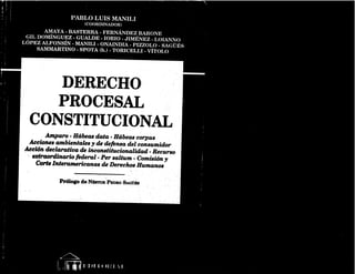 derecho-procesal-constitucional-pablo-luis-manili
