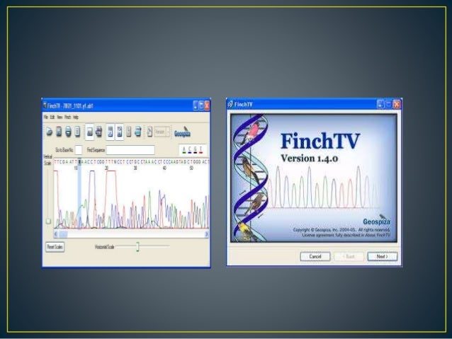 finchtv for mac finchtv for mac